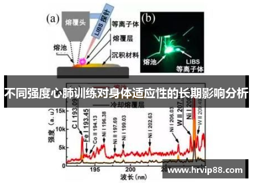 不同强度心肺训练对身体适应性的长期影响分析